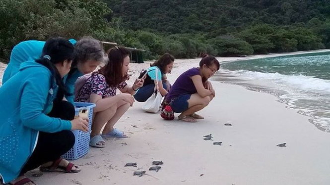 Thả[-]rùa[-]về[-]biển[-]phải[-]trả[-]tiền,[-]có[-]hợp[-]lý?